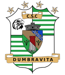 蒂米什瓦拉
